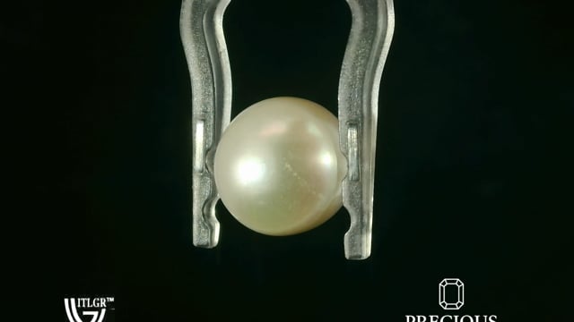 Video 1