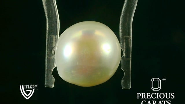Video 1