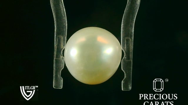 Video 1