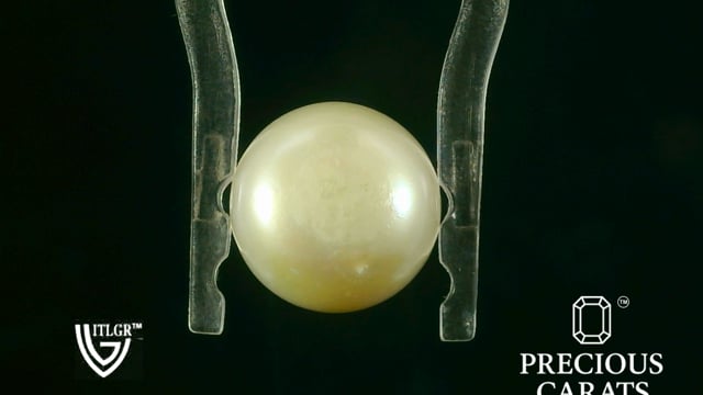 Video 1