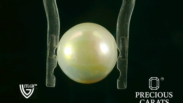 Video 1