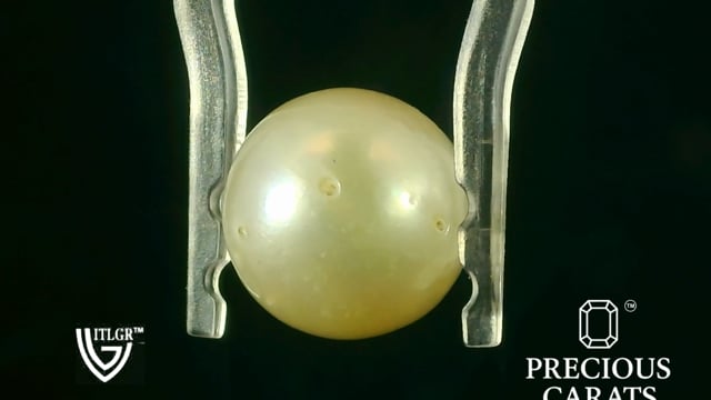 Video 1