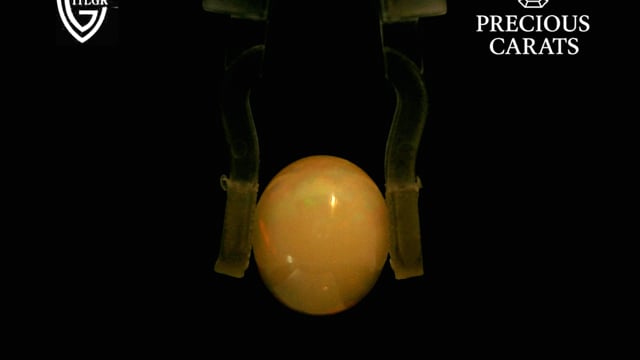 Video 1