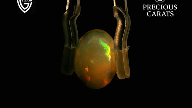 Video 1