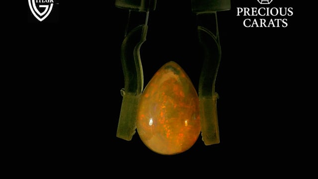 Video 1