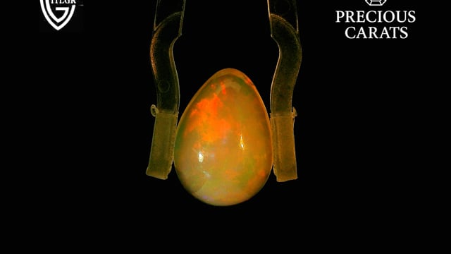 Video 1