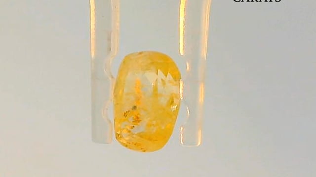 Video 1