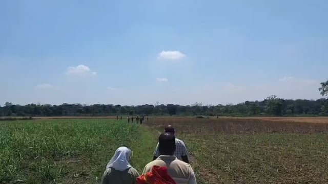 वाल्मीकि टाइगर रिजर्व में सनसनी: सिर और धड़ अलग-अलग बरामद, हत्या की गुत्थी उलझी