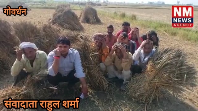 आसमानी आफत से किसानों की कमर टूटी, ओलावृष्टि ने गोवर्धन ब्लॉक में मचाई