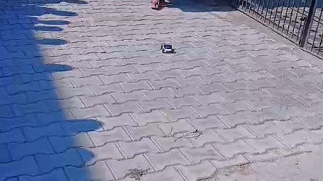 कस्तूरबा गांधी आवासीय बालिका विद्यालय की छात्राओ ने बनाया सोलर संचालित कार एबीएसए शंशाक मिश्र ने शिक्षकों छात्राओंबधाईदी