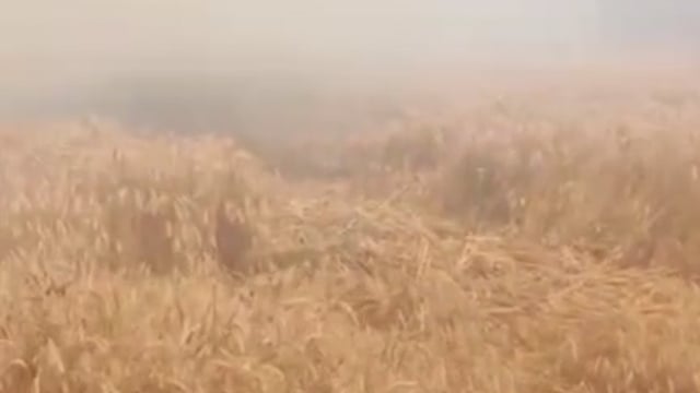 MANT-हाईटेंशन लाइन का कहर: एक चिंगारी ने उजाड़ दी किसानों की मेहनत, रायपुर में भीषण अग्निकांड”