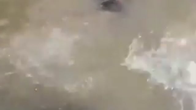 0➡️....भयावह घटना -
आंध्र प्रदेश के अल्लूरी में मुलागुम्मी वॉटरफॉल में चार दोस्त घूमने और नहाने गई थीं