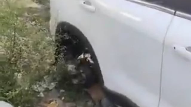 ग्रेटर नोएडा में एक व्यक्ति ने 18 दिन पहले ही नई स्कॉर्पियो खरीदी थी। कल रात चोर आए। CCTV कैमरे के तार काटे। ईंट–जैक लगाकर स्कॉर्पियो ऊपर उठाई। फिर चारों टायर चुरा ले गए।