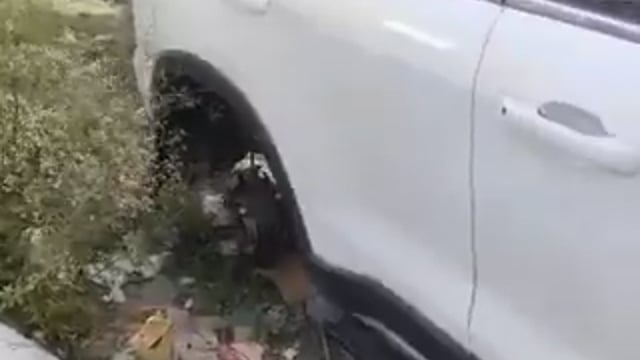 ग्रेटर नोएडा में एक व्यक्ति ने 18 दिन पहले ही नई स्कॉर्पियो खरीदी थी। कल रात चोर आए। CCTV कैमरे के तार काटे। ईंट–जैक लगाकर स्कॉर्पियो ऊपर उठाई। फिर चारों टायर चुरा ले गए।