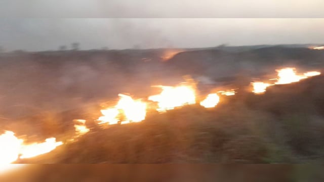 पिनाहट ब्लॉक के गांव  पिढोरा के यमुना बीहड़ में लगी भीषड़ आग .