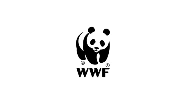 WWF Highlights