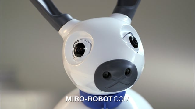 Build Miro
