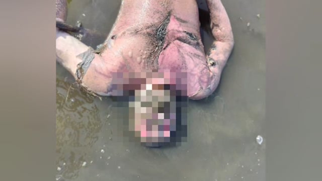 MANT-वृंदावन स्टीमर हादसा: 7 दिन बाद अंतिम शव बरामद, 16 की मौत—लापरवाही में नाविक व ठेकेदार गिरफ्तार”,,