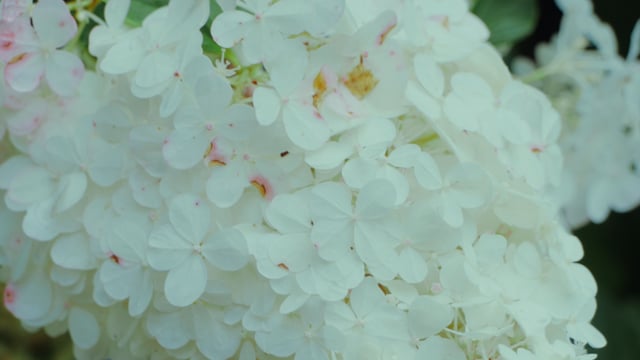 BERL&Iacute;N CICLISTA METAL & SUEDE