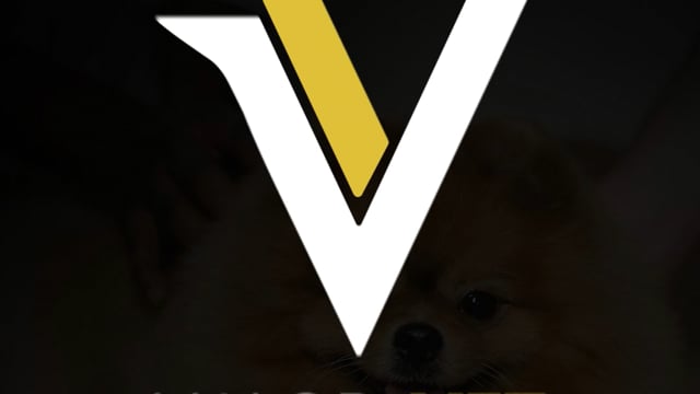 Depoimento Hermes Rocha