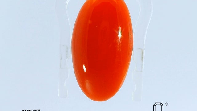Japanese Coral 7.73 Carat — video