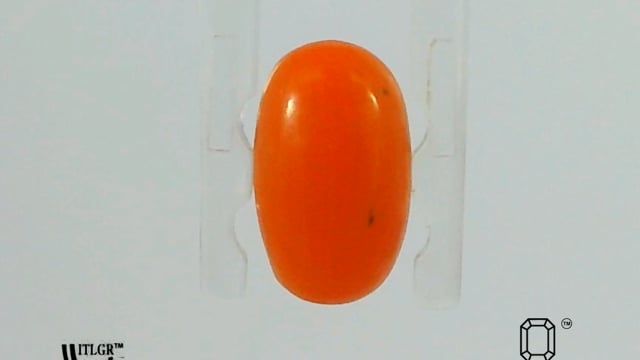 Video 1