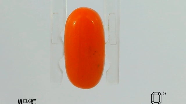 Video 1
