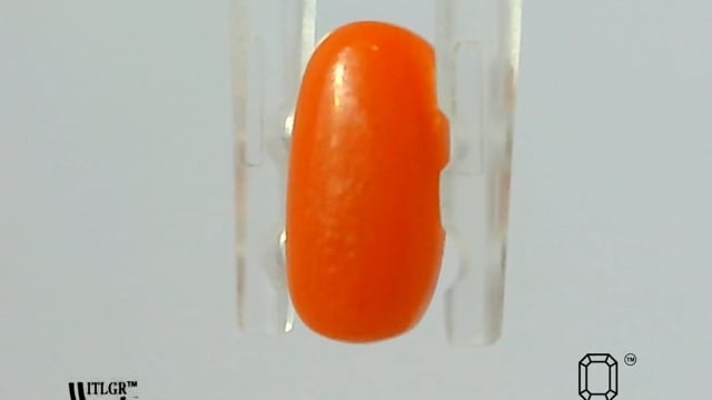 Sardinian Red Coral 1.73 Carat — video