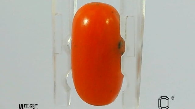 Video 1