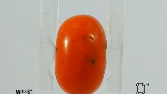 Video 1