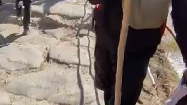 ➡️.... उत्तराखंड- चारधाम यात्रा मार्ग पर जम्मू-कश्मीर के एक खच्चर चालक के साथ कथित मारपीट और अभद्रता का मामला सामने आया,