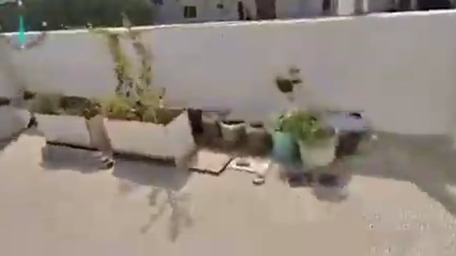 ➡️.....हैदराबाद में एक सॉफ्टवेयर इंजीनियर नशे का आदी था, गांजे की लत थी, नशेबाजी में नौकरी चली गई. एक समय के बाद पैसे भी खत्म हो गए. शख्स ने हार नहीं मानी
शख़्स ने अपने घर की छत पर गांजा उगाना शुरू कर दिया. आबकारी विभाग ने सॉफ्टवेयर इंजीनियर के छत से 17 गांजे के पौधे जब्त किए, जिनसे 10 kg गांजे पैदा होने के अनुमान हैं