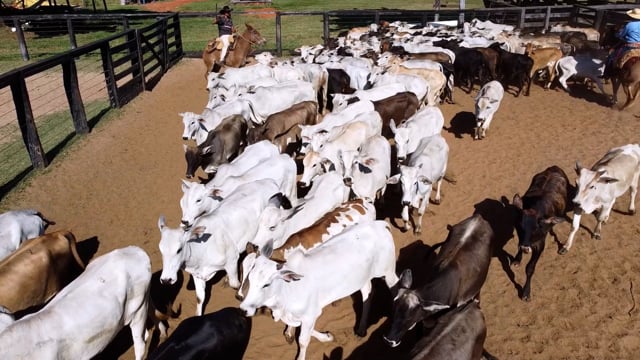 Geral<br>Lotes 08-09-10