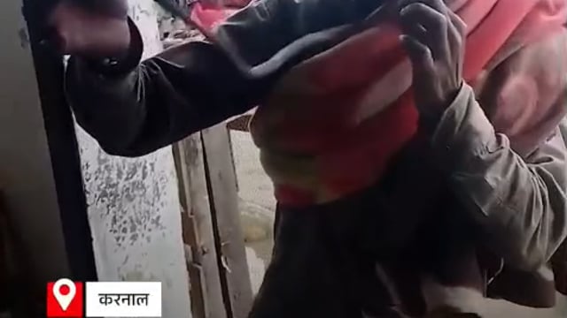 *हरियाणा के करनाल में कोबरा सांप से खेलना इस युवक को महंगा पड़ गया.* 

*सांप को मुंह में डालकर करतब दिखाते वक़्त सांप ने डसा,* 

*चली गई जान.*