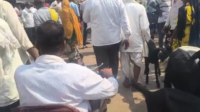 बाजार समितीचा अजब कारभार,सुविधेअभावी शेळ्यांचा बाजार भरतोय रस्त्यावर