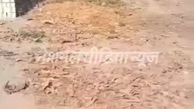 यह वीडियो सोशल मीडिया पर वायरल हो रही है वीडियो अहिरौली थाना क्षेत्र का बताया जा रहा है ग्राम अतवई पठानैया निवासी हनीफ खान उर्फ पप्पू पठा पर आरोप है कि उसने भारत के राष्ट्रीय पक्षी मोर के साथ बेरहमी की सारी हदें पार कर दीं।