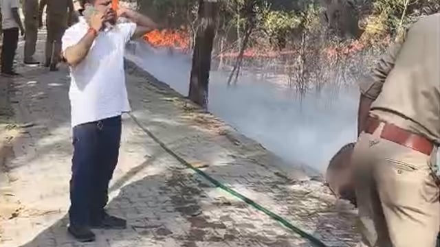 ➡️बिजनौर⬅️
अचनक आग लगने से मचा हड़कंप। आग में स्वाहा हुई तालिबा बन्धुओ की सीज  की लकड़ी। आग में जलकर लाखों रुपए की लकड़ी का नुकसान। वन विभाग एवं फायर ब्रिगेड की टीम ने आग पर पाया काबू। बिजनौर के इंदिरा पार्क का मामला।*