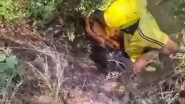 ➡️उत्तराखंड-⬅️

टिहरी गढ़वाल - चम्बा के पास एक दर्दनाक हादसे में पिकअप वाहन गहरी खाई में गिर गया, हादसे में 8 लोगों की मौत हो गई