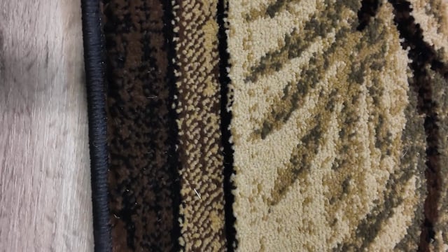 Vimeo video preview for Black Bear Family Rug Collection - 1186261188