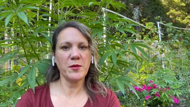 Video still for Wendy Kornberg