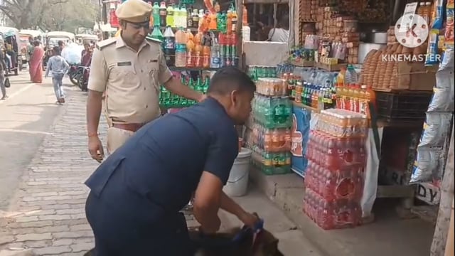 अमरपुर बस स्टैंड पर सीआईडी स्वान दस्ता और पुलिस का संयुक्त छापा। नशा तस्करों में मचा हड़कंप।
