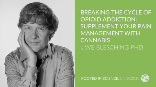 Breaking the Cycle of Addiction