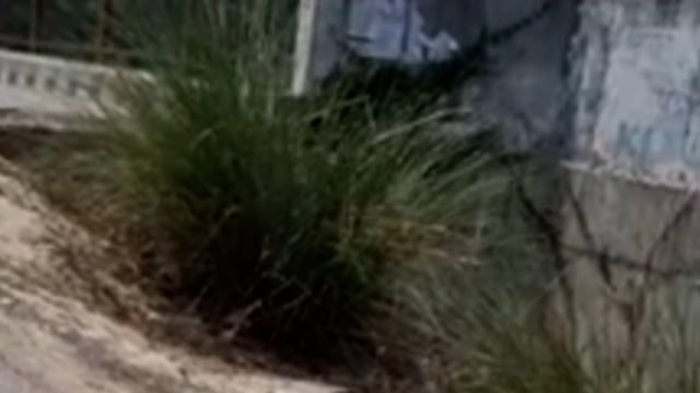 मंगलपुरा-डुहिमुसी दहारी पर बने पुल का अप्रोच मार्ग जर्जर होने से क्षेत्रीय लोगो ने प्रशासन का ध्यान कराया आकृष्ट