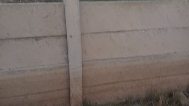 गोवर्धन से बड़ी खबर स्टे के बावजूद कर रहे हैं वॉल बाउंड्री 