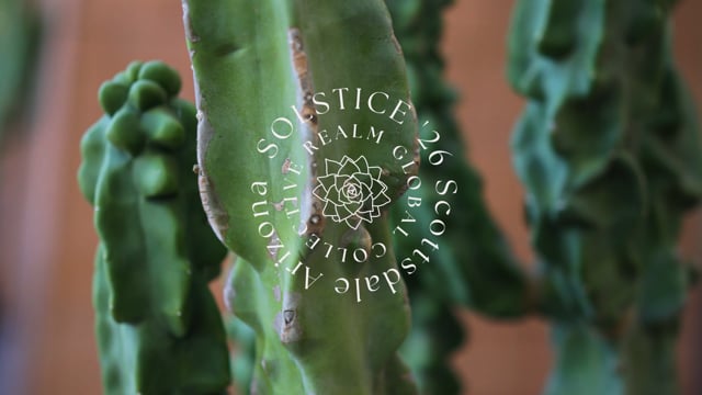 REALM Global — Event Highlight Reel