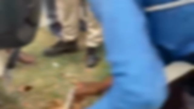 हिरण को बचाने के चक्कर में गिरे पूर्व जिला परिषद, हालत गंभीर।