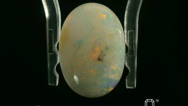 Video 1