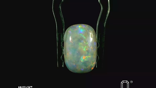 Video 1