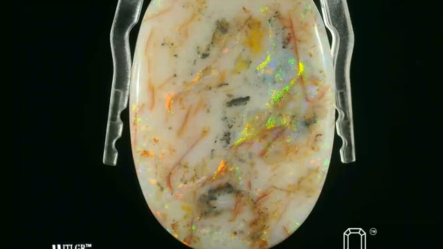 Video 1