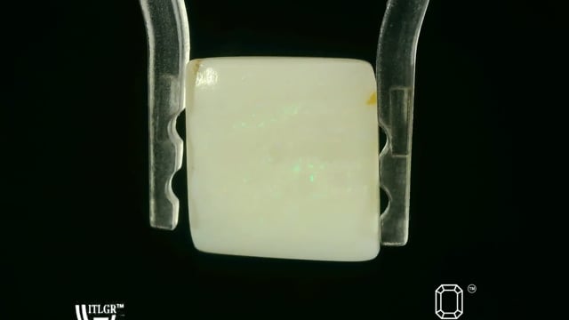 Video 1